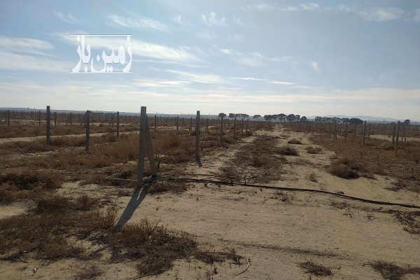 فروش زمین تهران ۶۰۰ متر کهریزک روستای انیس آباد فشافویه-4