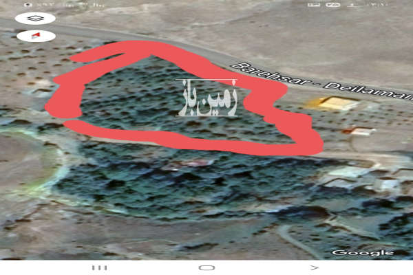 فروش زمین باغ گیلان ۸۵۰۰ متر دیلمان روستای قشلاق-3