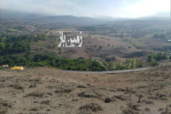 فروش زمین باغ گیلان ۸۵۰۰ متر دیلمان روستای قشلاق-4