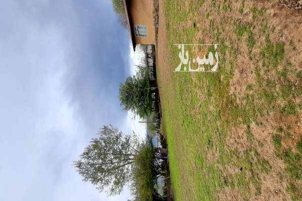 فروش زمین مسکونی گیلان ۵۰۰ متر تالش روستای بره پشت-1