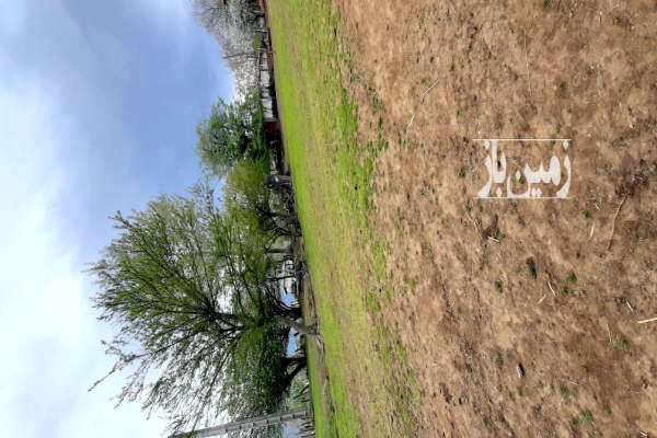 فروش زمین مسکونی گیلان ۵۰۰ متر تالش روستای بره پشت-2