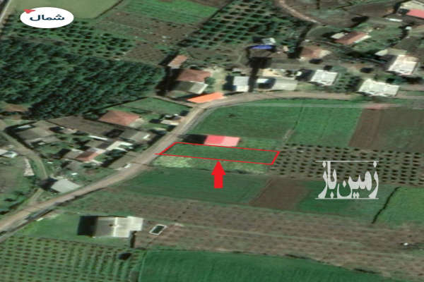 فروش زمین مسکونی شمال ۶۰۰ متر نکا روستای صفرآباد-2