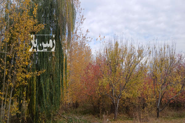 فروش زمین باغ تهران ۱۰۰۰ متر ملارد-4