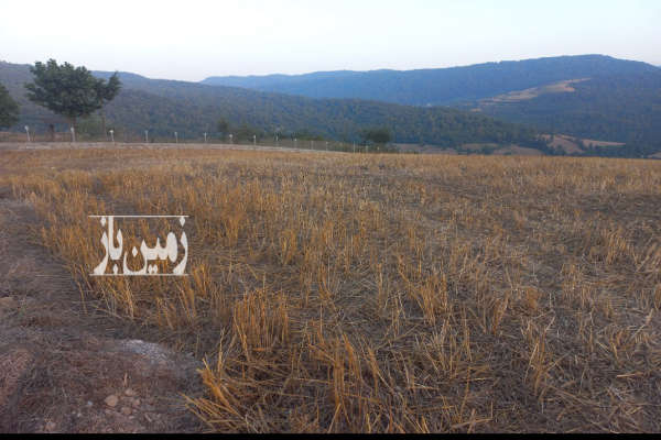 فروش زمین مسکونی شمال ۵۰۰ متر ساری روستای اجارستاق میدانک-1