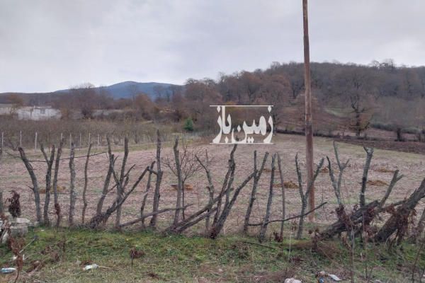 زمین باغ شمال ساری دودانگه فریم روستای انگفام ۷۸۰ متر-2