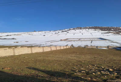 فروش زمین باغ شمال ۲۵۰ متر کلاردشت روستای کلنو