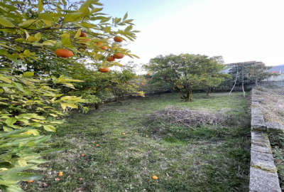 فروش زمین باغ شمال ۲۵۲ متر تنکابن قلعه گردن روستای استخر سر