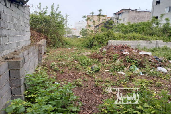 فروش زمین کشاورزی شمال ۲۱۱ متر آمل خیابان مدرس-2