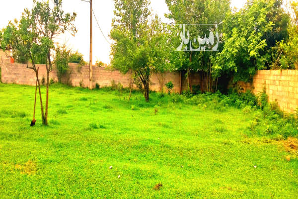 فروش زمین مسکونی گیلان ۳۰۰ متر صومعه‌ سرا روستای ندامان-2