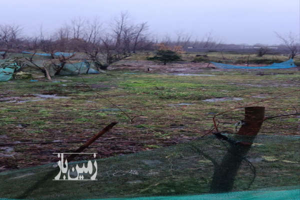 فروش زمین مسکونی گیلان ۲۵۶ متر لاهیجان-2