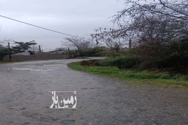 فروش زمین مسکونی گیلان ۲۵۶ متر لاهیجان-4