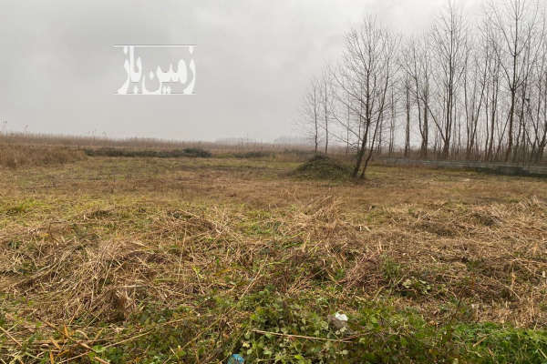 فروش زمین باغ گیلان ۲۰۰۰ متر بندرانزلی توربگوده-2