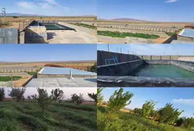 فروش زمین باغ صنعتی کشاورزی سمنان ۳ هکتار شاهرود روستای زرگر