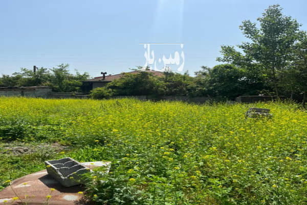 فروش زمین مسکونی شمال ۲۷۳ متر دابودشت وسکل-1