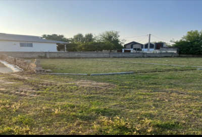 فروش زمین باغ شمال ۳۵۱ متر آمل امام زاده عبدالله روستای خشکرود