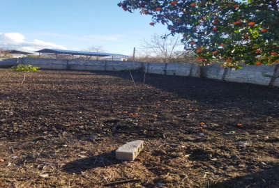 فروش زمین مسکونی شمال ۴۰۰ متر قائمشهر جاده کیاکلا روستای دیوکلا