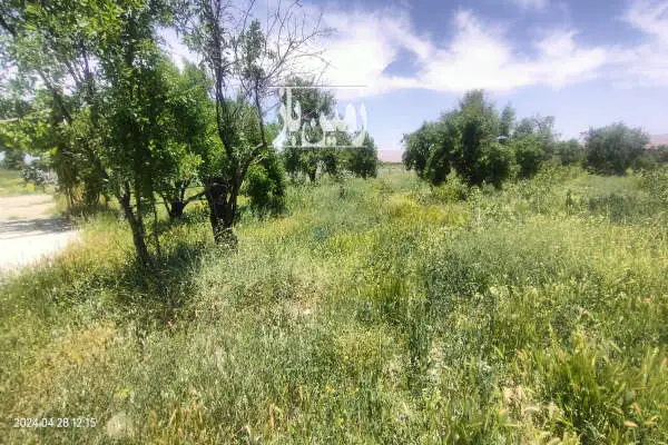 باغ کشاورزی فارس ۱۴۰۰۰ متر سروستان - تصویر 4