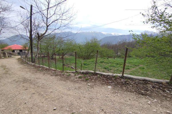 فروش زمین باغ شمال ۳۰۰ متر رامسر جنگل دالخانی روستای ییلاقی لیماکده-4