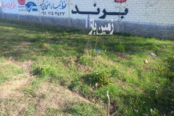 فروش زمین صنعتی شمال ۵۲ متر آمل سر جاده روستای شرم کلا-4