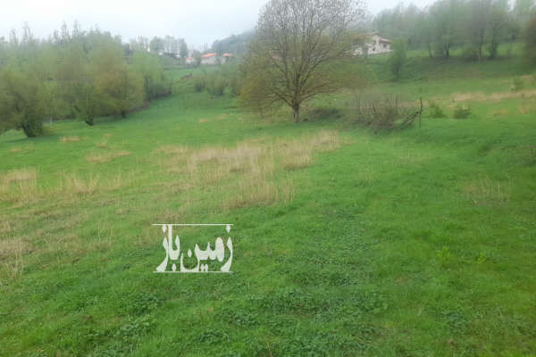 فروش زمین مسکونی باغ گیلان ۵۰۰ متر تالش روستای کسمه جان-1