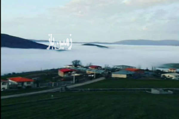 فروش زمین باغ کشاورزی شمال ۲۰۰۰ متر بهشهر روستایی ییلاقی-4