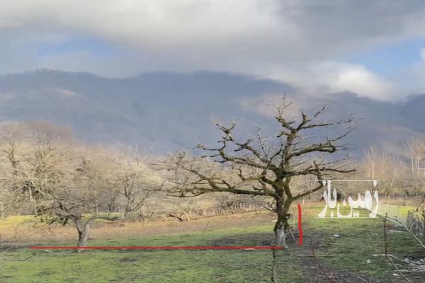 فروش زمین مسکونی گیلان ۱۰۷۵ متر آستارا سمت حیران روستای شاه قلعه-4