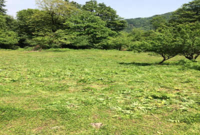 فروش زمین مسکونی گیلان ۱۰۷۵ متر آستارا سمت حیران روستای شاه قلعه