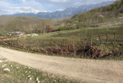 فروش زمین باغ شمال ۳۵۰ متر ساری دودانگه روستای سنگده