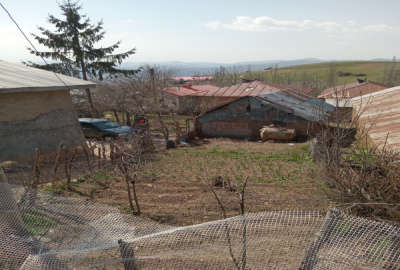 فروش زمین مسکونی گیلان ۱۴۸ متر دیلمان روستای نوروزمحله