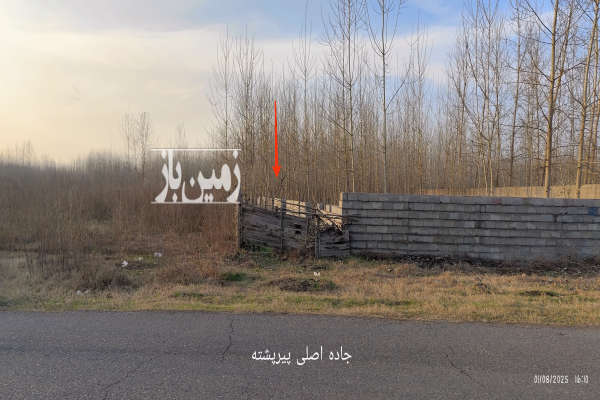 فروش زمین باغ کشاورزی گیلان ۴۰۰ متر لنگرود روستای پیرپشته-4