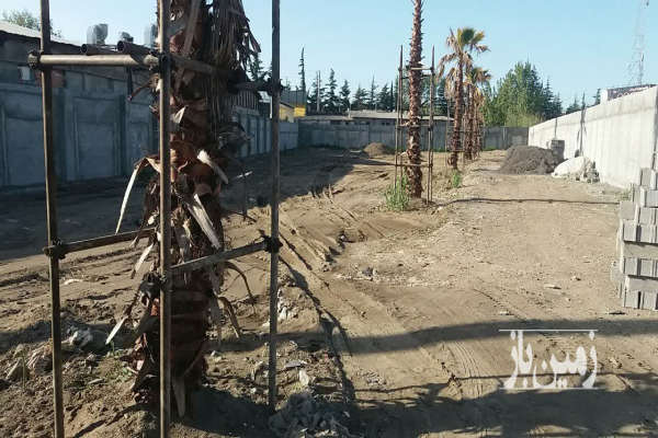 فروش زمین کشاورزی شمال ۲۰۰ متر سرخرود-4