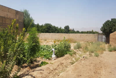 فروش زمین باغ کشاورزی اصفهان ۲۱۰ متر نجف آباد گلدشت