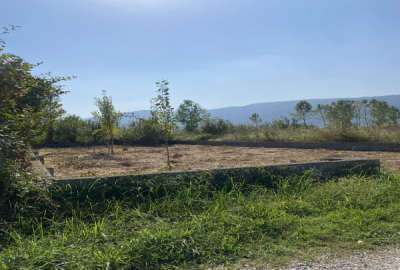 فروش زمین شمال ۳۸۰ متر تنکابن خیابان کشاورز