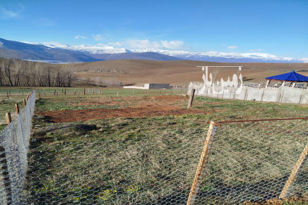 فروش زمین کشاورزی شمال ۳۳۰ متر نوشهر کجور روستای کوشکک-2