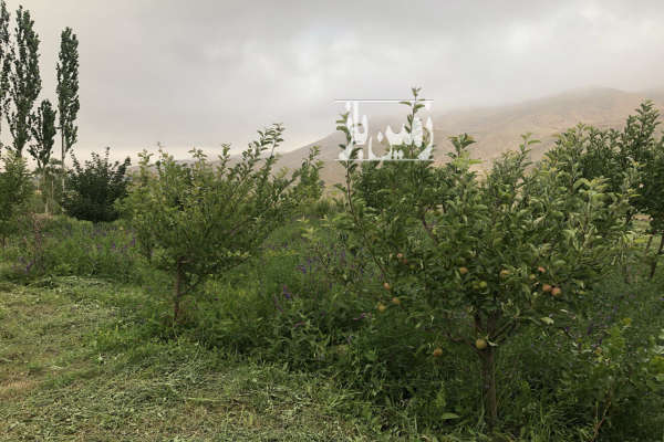 فروش زمین باغ تهران ۱۲۰۰ متر فیروزکوه روستای طرود-2