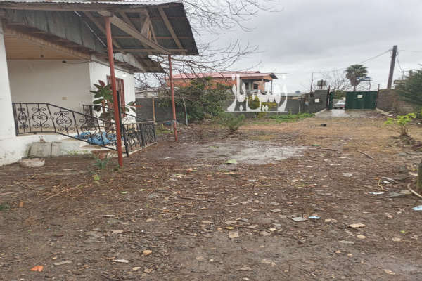 فروش زمین مسکونی شمال ۱۰۰۰ متر نوشهر روستای ونوش-2