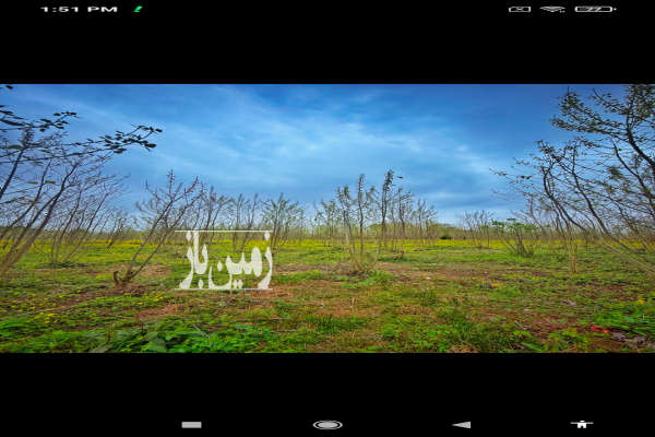 فروش زمین باغ گیلان یک هکتار رضوان‌ شهر روستای الله بخش محله-2