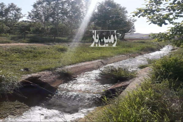 فروش زمین باغ اصفهان ۱۰۰۰ متر فریدونشهر وحدت آباد گوستگان-1