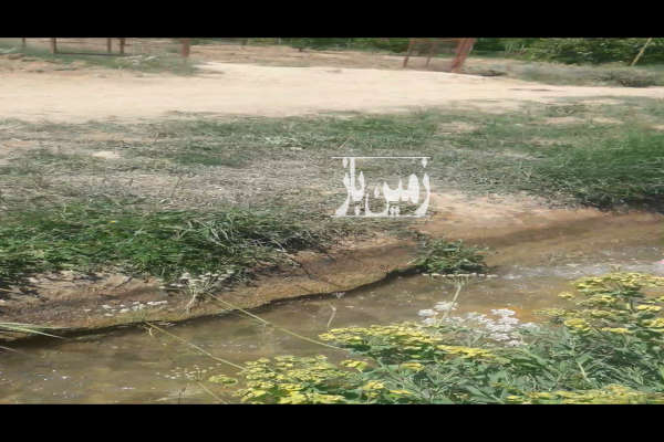 فروش زمین باغ اصفهان ۱۰۰۰ متر فریدونشهر وحدت آباد گوستگان-3