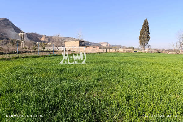 فروش زمین باغ کشاورزی شمال ۵۶۰۰ متر رستمکلا پلنگ باغ-1