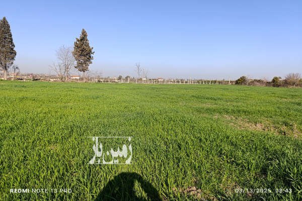 فروش زمین باغ کشاورزی شمال ۵۶۰۰ متر رستمکلا پلنگ باغ-2