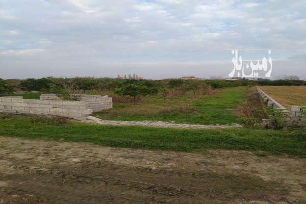 فروش زمین باغ شمال ۲۰۰۰ متر بابل-2