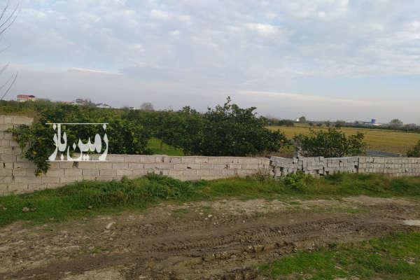 فروش زمین باغ شمال ۲۰۰۰ متر بابل-3