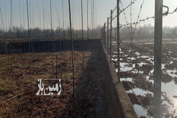 فروش زمین مسکونی تجاری باغی گیلان ۴۵۰ متر رشت جانبازان آج بیشه-4