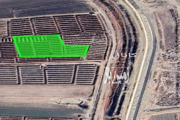فروش زمین باغ آذربایجان شرقی ۴۵۰۰ متر ملکان روستایی-1