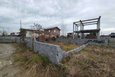 فروش زمین باغ شمال ۲۵۰ متر تنکابن جاده نعمت آباد محله تازه آباد