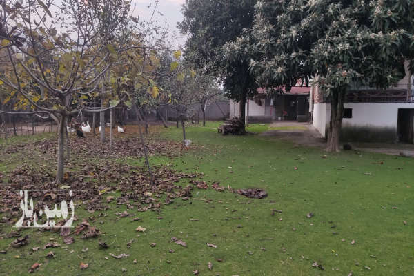 فروش زمین مسکونی تجاری باغی کشاورزی گیلان ۴۰۰۰ متر تالش-2