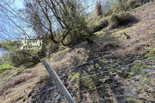 فروش زمین شمال ۵۰۰ متر سلمان‌ شهر متل قو روستای جیسا-3