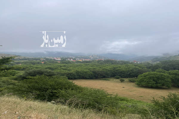 فروش زمین باغ شمال ۵۶۰ متر محمودآباد دریاسر-1