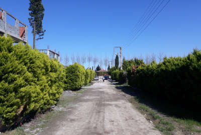 فروش زمین مسکونی شمال ۲۸۰ متر محمودآباد روستای چهارافرا